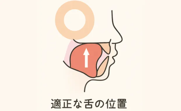 正しい舌の位置